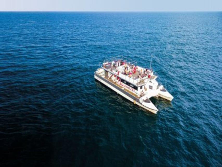 Valencia: Boat Trip on the Valencian coast with lunch - Lunch On Board: The Valencian Paella Part
