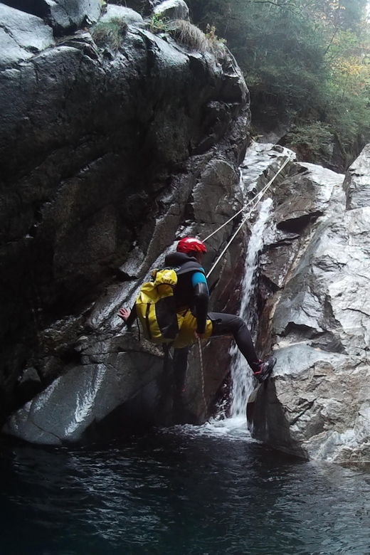 Valencia Canyoning. Experience for everyone - Nature around Albufera de Anna: wildlife and vegetation as more than scenery