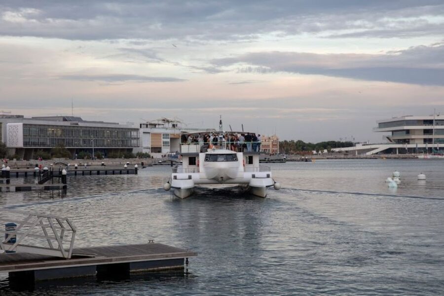 Valencia: Catamaran Cruise, Paella Lunch and Swim Stop - Price and value at about $41 per person
