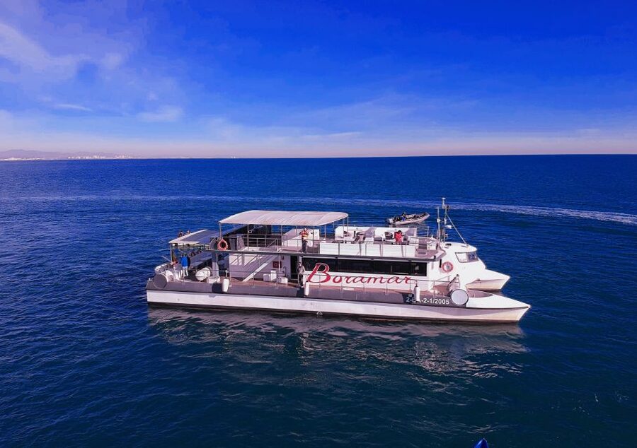 Valencia: Catamaran Cruise with Stop for Swimming - The swimming stop in the Mediterranean: plan for timing and conditions