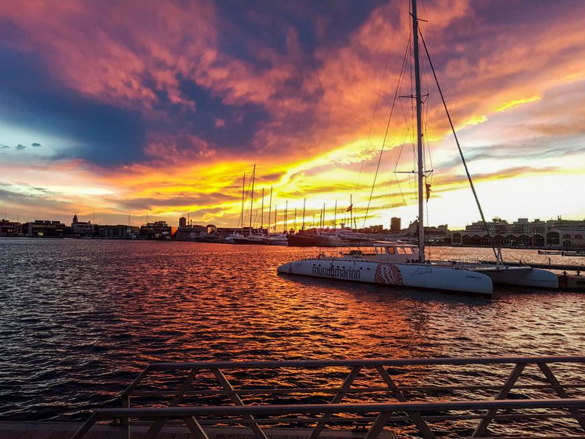 Valencia: Catamaran Cruise with Sunset Option - Small Drawbacks to Take Seriously