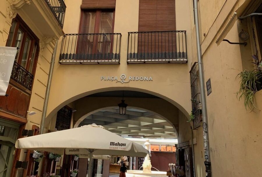 Valencia City Excursion - From Albir, Benidorm & Calpe - The guided walking tour add-on for old-town orientation
