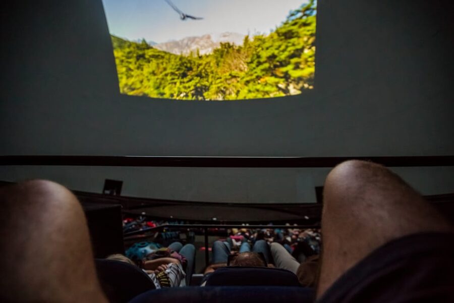 Valencia: City of Arts and Science 3D Movie at Hemisfèric - The hour plan: audio support, pacing, and how to enjoy it