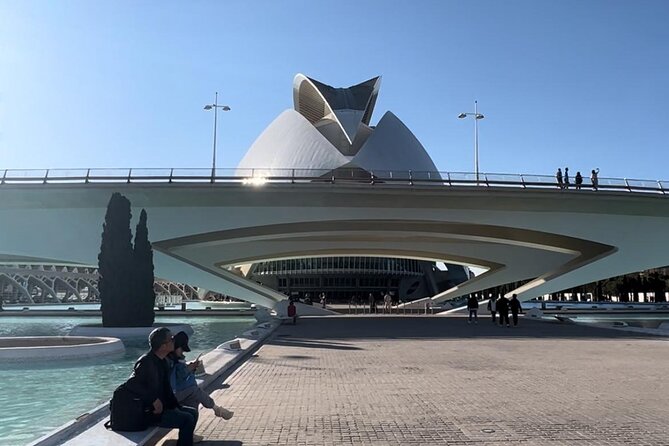 Valencia: City of Arts and Sciences Private Walking Tour - City of Arts and Sciences, but the outside story only