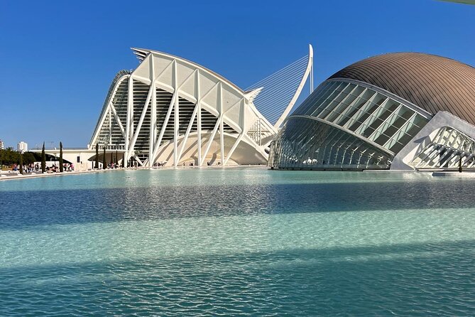 Valencia: City of Arts and Sciences Private Walking Tour - Príncipe Felipe Science Museum, the whale-skeleton architecture