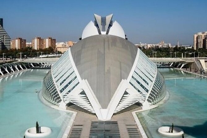 Valencia: City of Arts and Sciences Private Walking Tour - Palau de les Arts Reina Sofía, flowing performing-arts design
