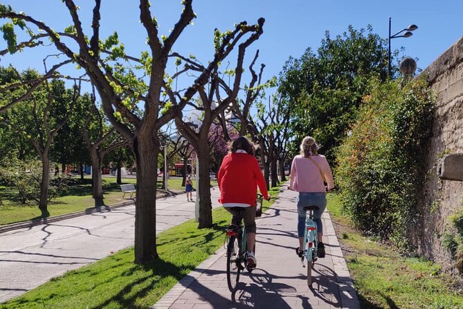 Valencia City Sights Bike Tour - Barrio del Carmen and Plaza de la Virgen: Tight Streets, Big Views