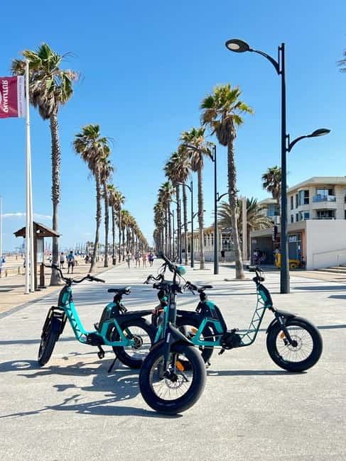 Valencia: E-bike Tour, Beaches, & City of Arts and Sciences - Who this tour suits best (and who should skip it)