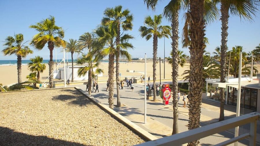 Valencia: Fantastic Segway Tour from the Center to the Beach - Key highlights you will feel right away