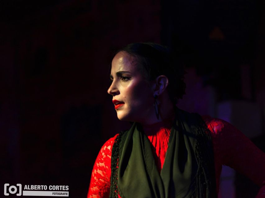 Valencia: Flamenco at Toro y La Luna with optional Dinner - Who should book this flamenco night