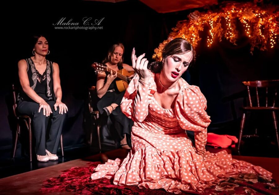 Valencia: Flamenco Show at Tablao La Reina - What You Actually See: Cante, Baile, and Guitar