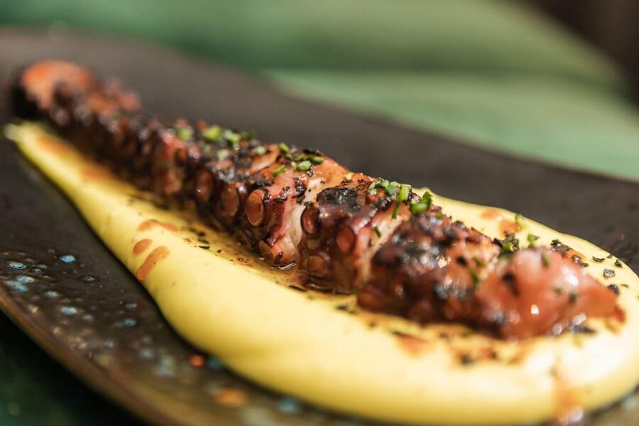 Valencia: Gourmet Food & Wine Tour - What You Really Learn (Beyond Just Eating)