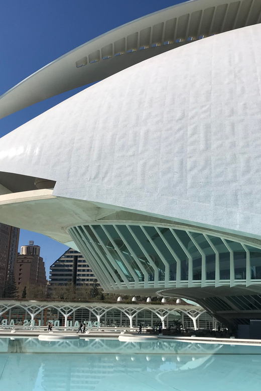 Valencia: Grand City Bike Tour on Bicycle, E-Bike or E-Step - Key points you’ll care about