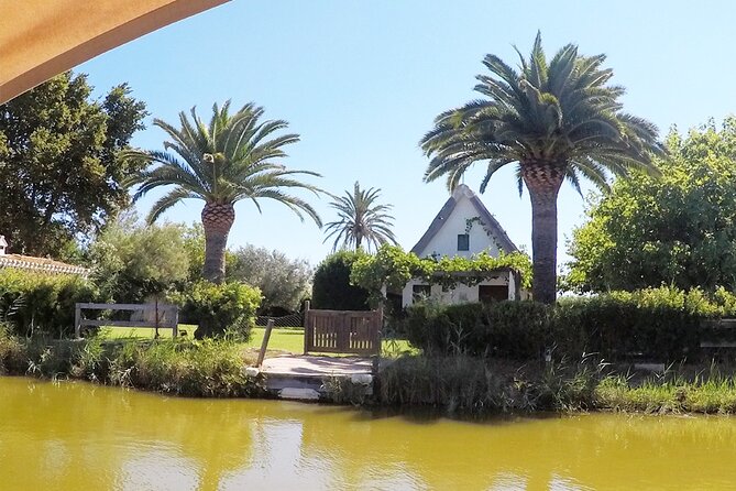 Valencia: Jeep Tour Albufera Park - Pickup, group size, and price: is $89 good value for this kind of day?