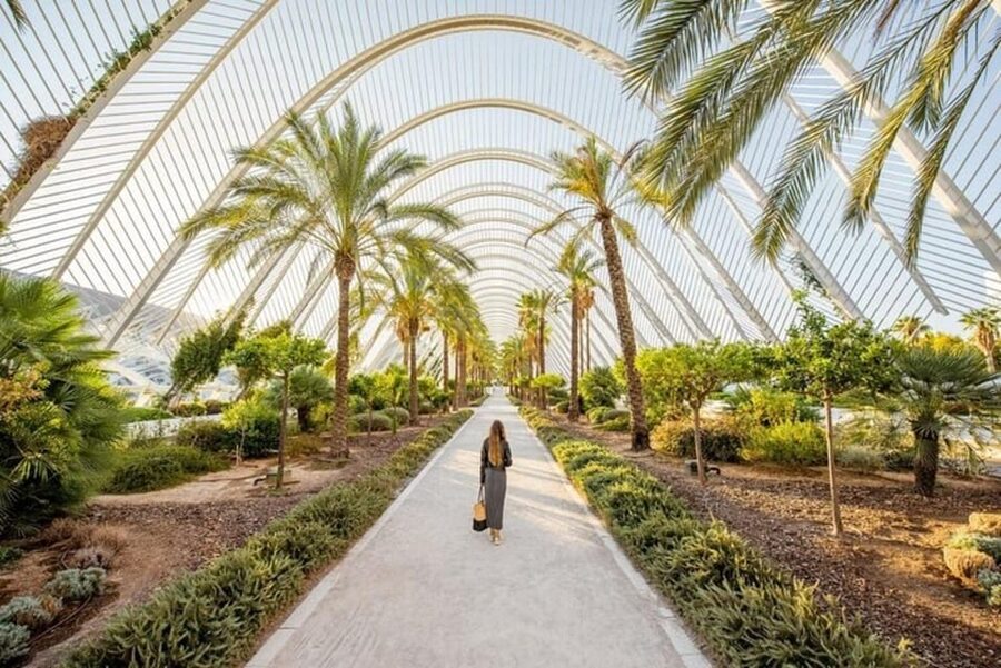 Valencia: Must-See Attractions Walking Tour - Key highlights at a glance