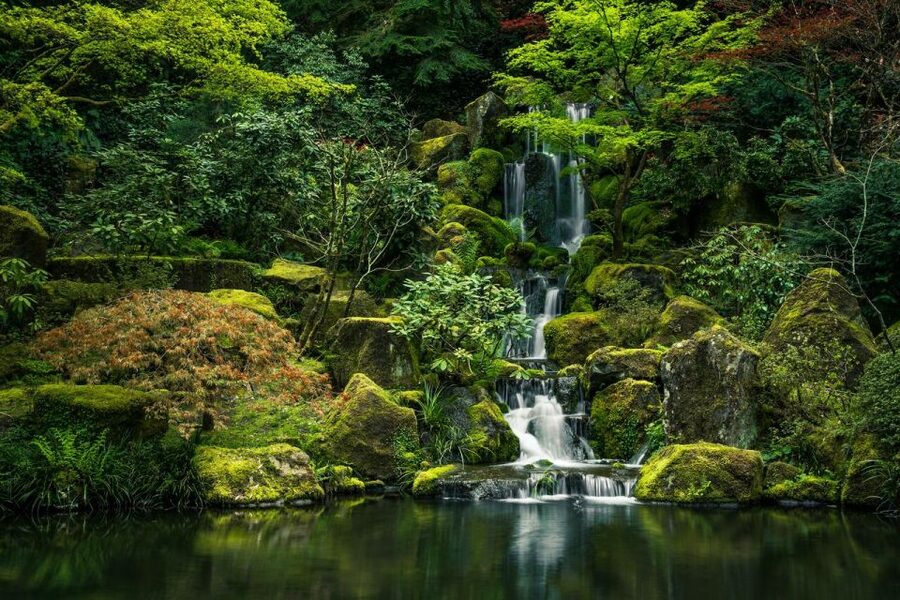 Valencia Natural Wonders: Exploring the Top 4 Waterfalls - Why Valencia’s Waterfalls Feel Like a Real Escape