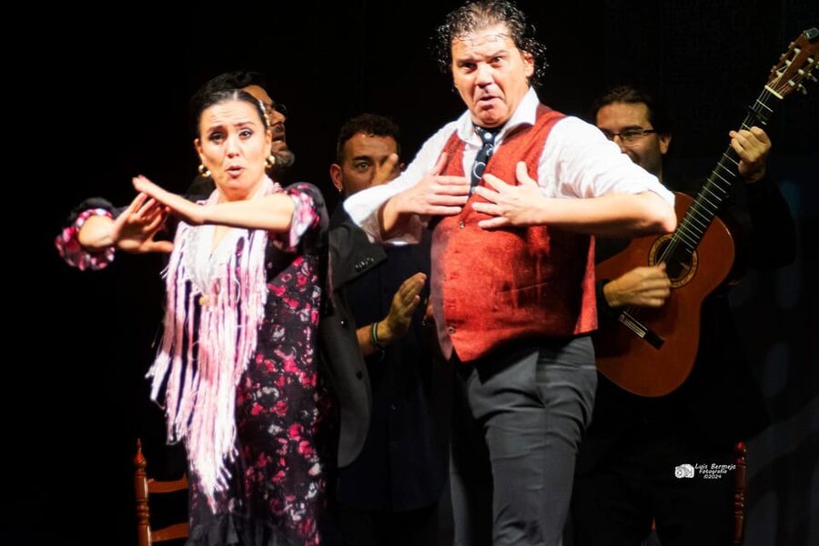 Valencia: New Flamenco Show in the Most Emblematic Theater of the City - What you’ll see on stage: baile, cante, toque, and percussion