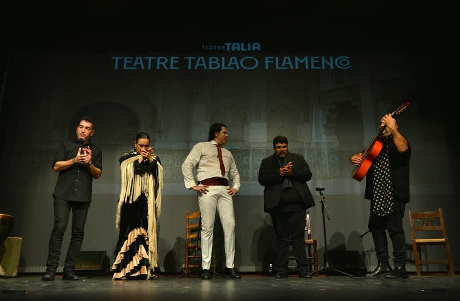 Valencia: New Flamenco Show in the Most Emblematic Theater of the City - The performers: the lineup that shapes the night
