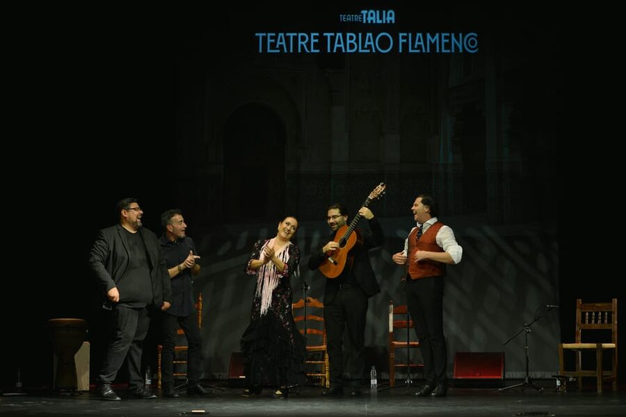 Valencia: New Flamenco Show in the Most Emblematic Theater of the City - Who this flamenco show is best for