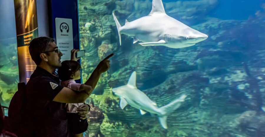 Valencia: Oceanogràfic Entry Ticket - Timing matters: time slots, opening hours, and how to pace your visit