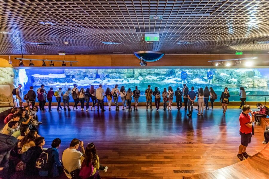 Valencia: Oceanogràfic Entry Ticket - Shows and extras: dolphins, 4D, and a break when you need it