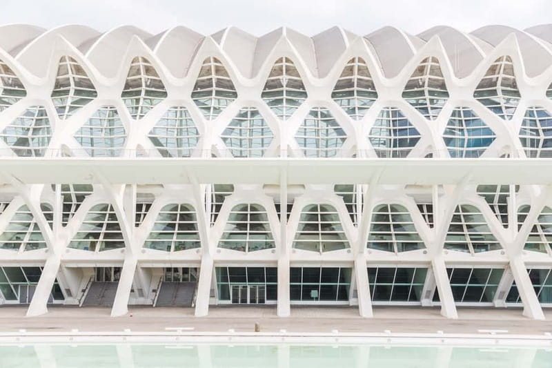 Valencia: Oceanogràfic, Hemisfèric & Science Museum Combo - Who this combo ticket is best for