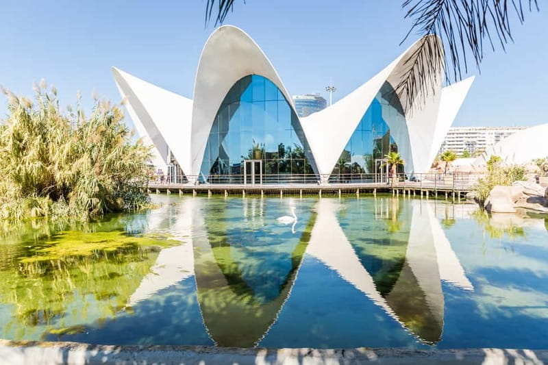 Valencia: Oceanogràfic, Hemisfèric & Science Museum Combo - Tickets, what’s included, and why the price can be fair