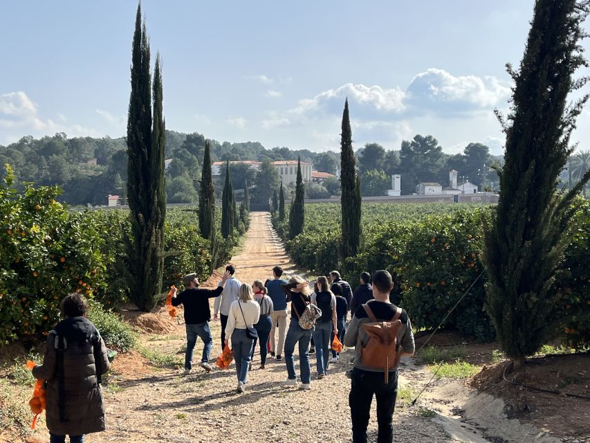 Valencia: Orange Farm and Orchard Trip with Tastings - Who should book this orange farm trip?