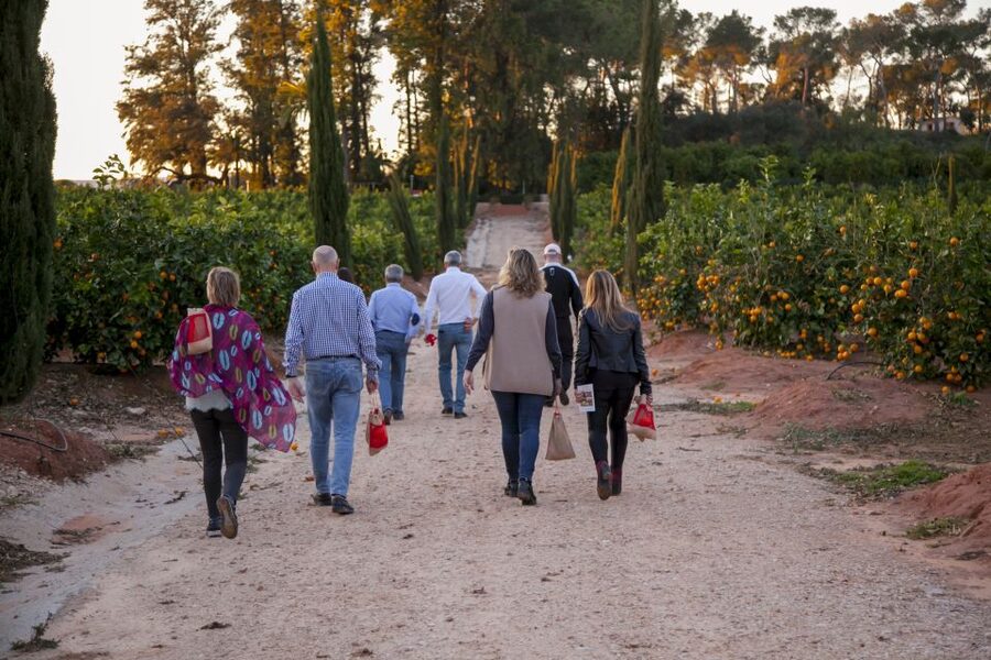 Valencia: Orange Farm and Orchard Trip with Tastings - The 2-hour flow: house, groves, picking, sorting, and a well-deserved tasting