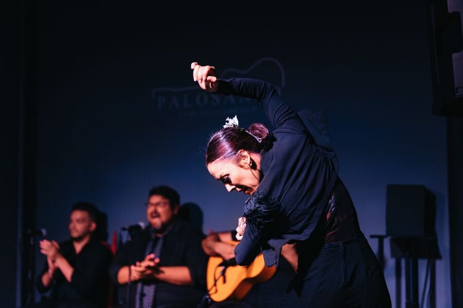 Valencia: Palosanto Flamenco Show Ticket - Key things to know before you go