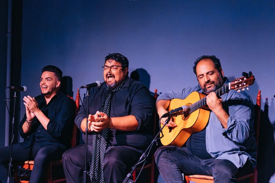 Valencia: Palosanto Flamenco Show Ticket - The rules inside: sound, silence, and what you cannot do