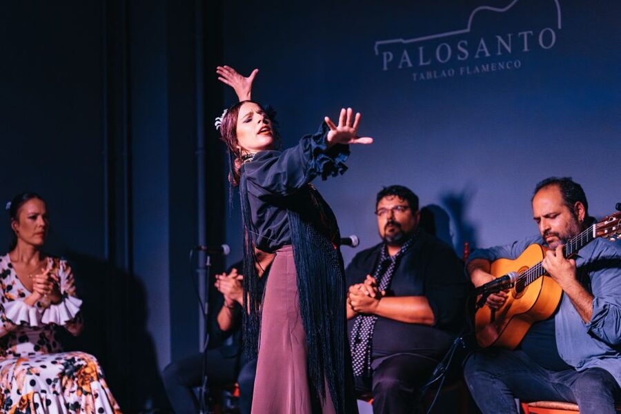 Valencia: Palosanto Flamenco Show Ticket - Price and value: how $25 stacks up for a high-focus show
