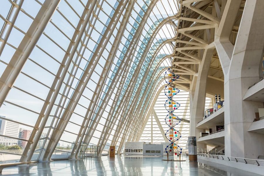 Valencia: Principe Felipe Science Museum Entry Ticket - Principe Felipe Science Museum in the City of Arts and Sciences, the whale-skeleton setting