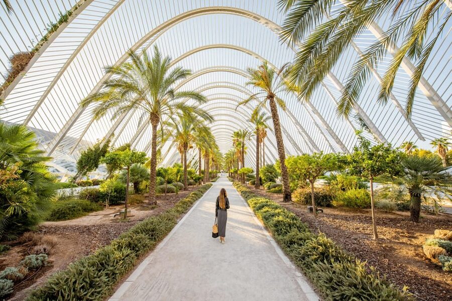 Valencia: Private Brunch Tour with Basic Spanish Learning - FAQ