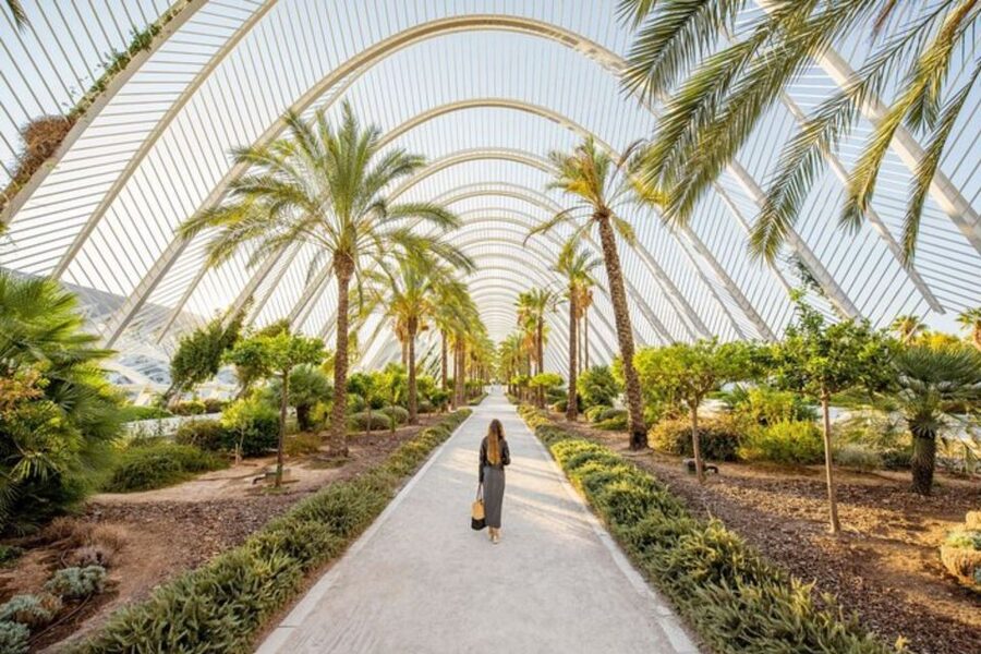Valencia: Private custom tour with a local guide - Price and value: $53 per person and what that buys