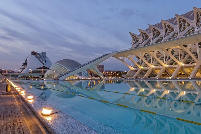 Valencia Private Tour with Hotel or Cruise Port Pick up - Hotel or cruise port pickup: the smart start to your Valencia day
