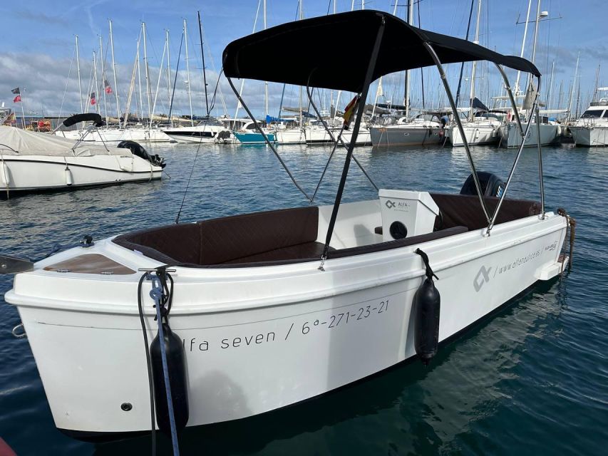 Valencia: Rent Boat Without License - Rent a no-license boat at Marina Norte, Valencia
