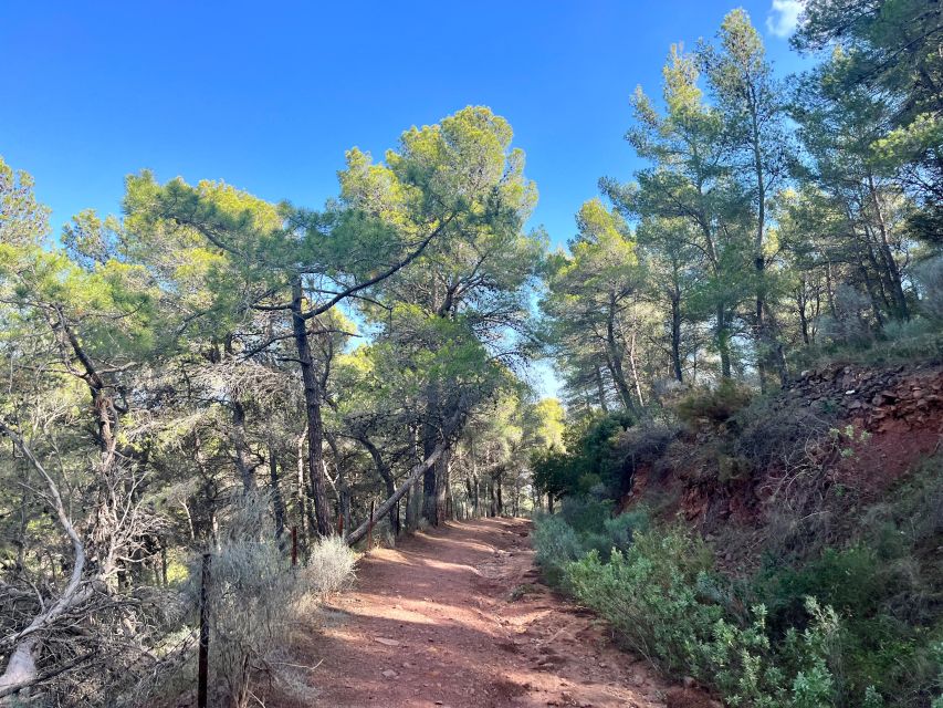 Valencia: Sierra Calderona & El Garbí Mountain hiking Tour - Key highlights you will feel on this hike