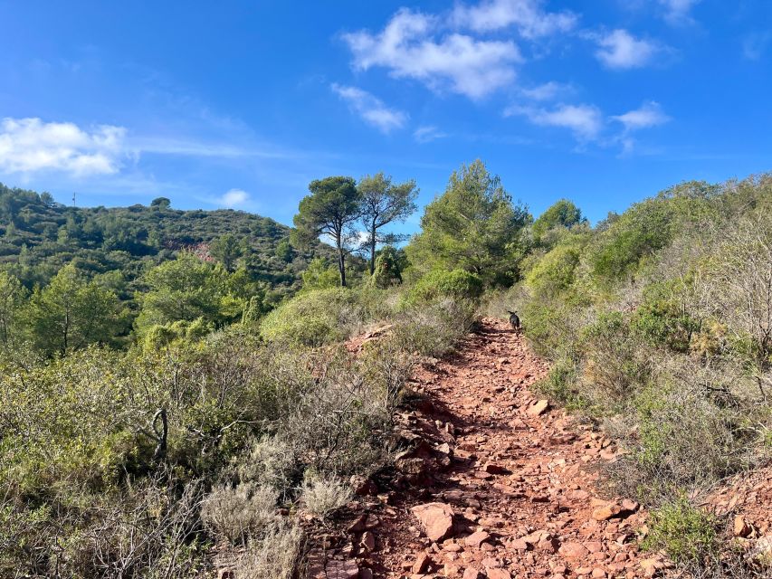Valencia: Sierra Calderona & El Garbí Mountain hiking Tour - Valencian typical food and the workshop moment at the top