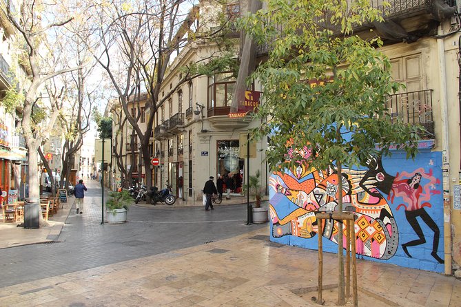 Valencia Street Art | Private Tour by Bike or Electric Ride - What you get for $72.01, and why it can be good value