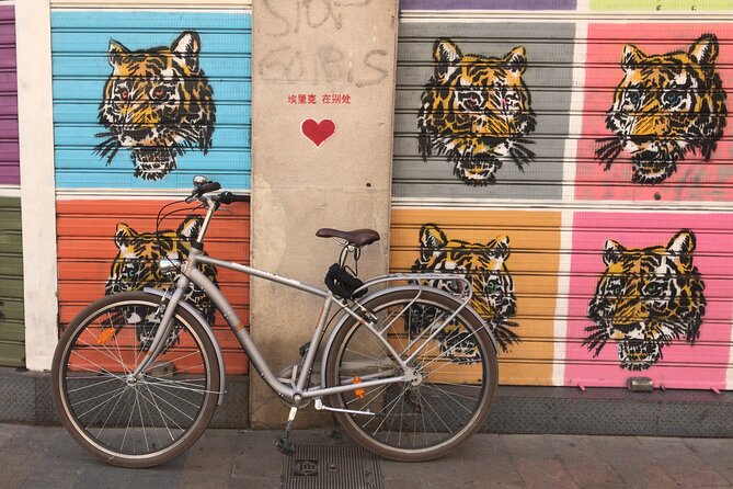 Valencia Street Art | Private Tour by Bike or Electric Ride - Who should book this bike street art tour