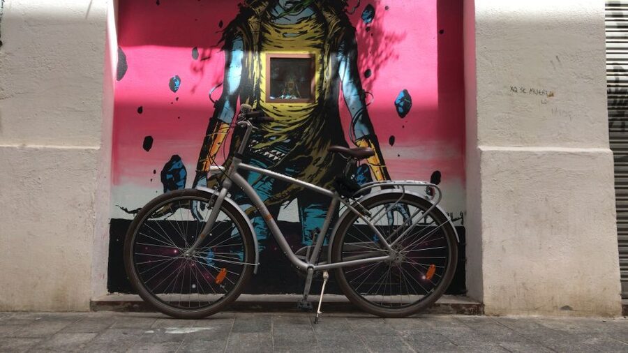 Valencia: Street Art Tour on Bicycle, E-Bike or E-Step - Key Things I’d Focus On Before You Go
