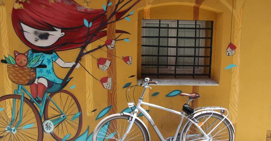 Valencia: Street Art Tour on Bicycle, E-Bike or E-Step - Languages and Private Group Options