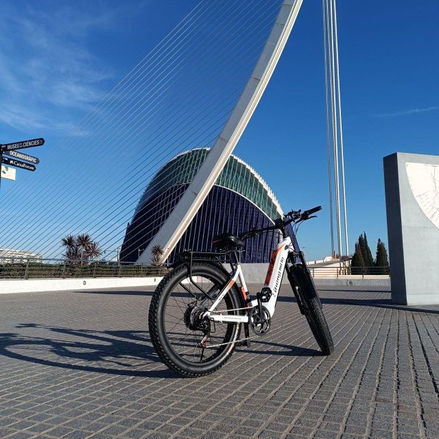 Valencia: The Albufera Lake Self-Guided E-Bike Tour - Key highlights I’d plan around