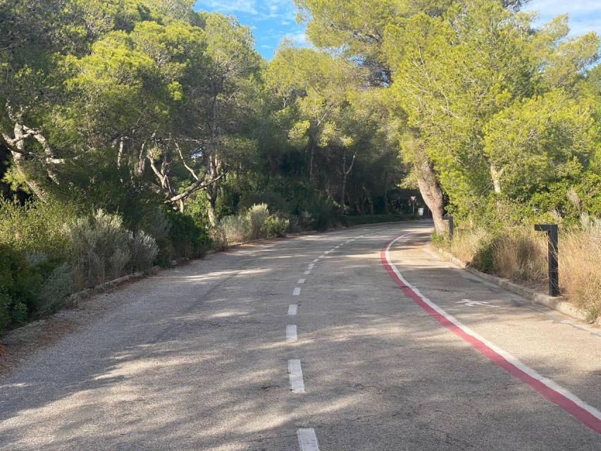 Valencia: The Albufera Lake Self-Guided E-Bike Tour - Where this ride really shines: Valencia by bike, then nature at Albufera