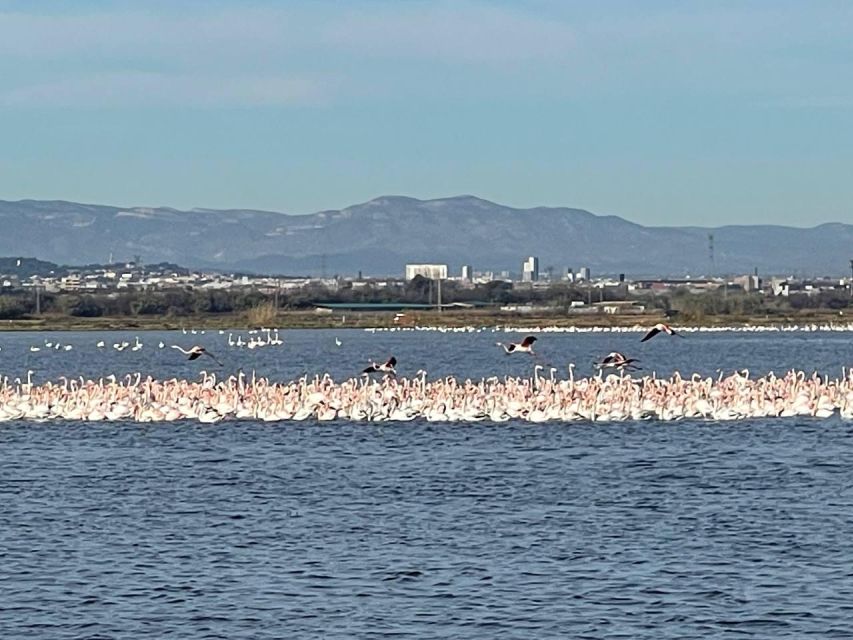 Valencia: The Albufera Lake Self-Guided E-Bike Tour - Ruzafa: a trendy neighborhood warm-up on two wheels