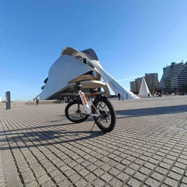 Valencia: The Albufera Lake Self-Guided E-Bike Tour - City of Arts and Sciences: futuristic architecture, museum-free pacing