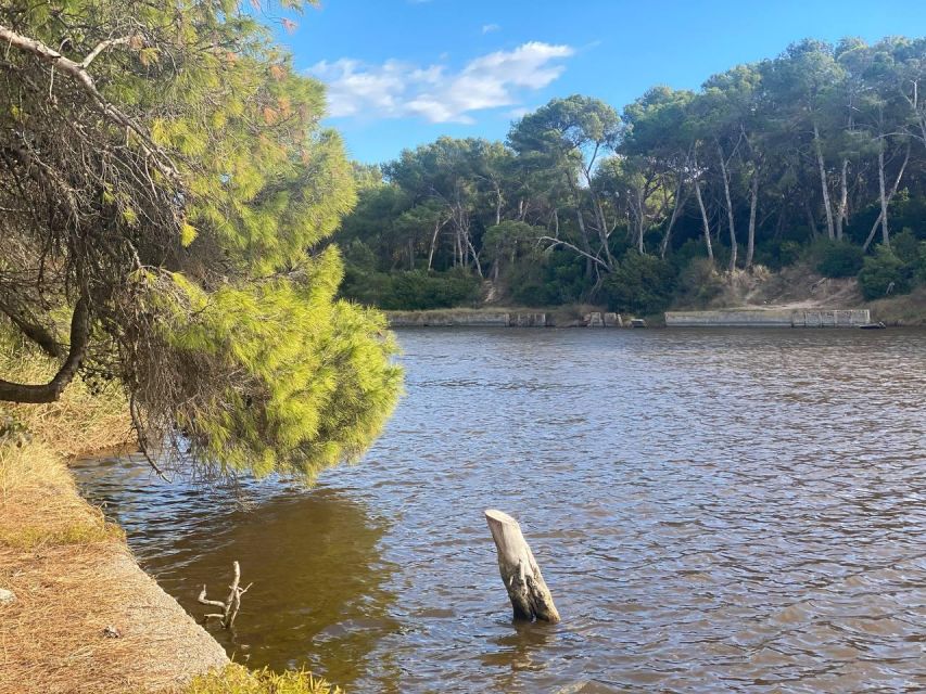 Valencia: The Albufera Lake Self-Guided E-Bike Tour - Albufera Lake: UNESCO scenery and birdlife on the lakeshore