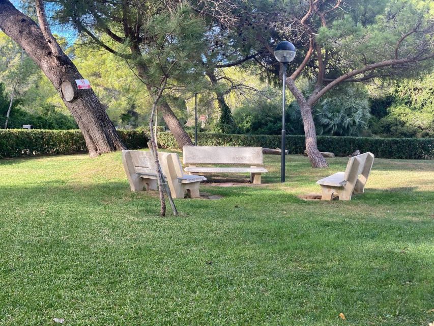 Valencia: The Albufera Lake Self-Guided E-Bike Tour - What could go wrong: routes, bike condition, and battery planning