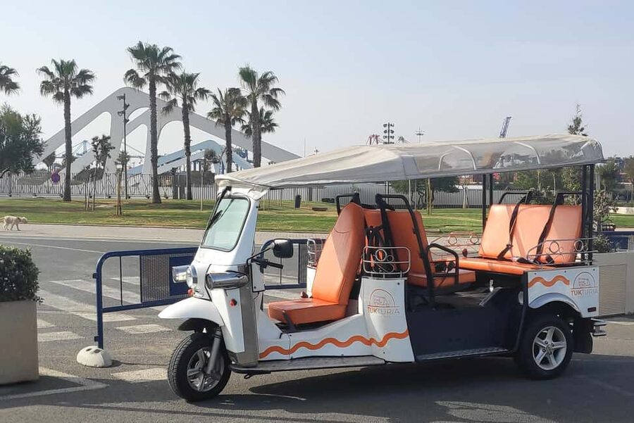 Valencia: Tuk Tuk City Tour - Small Logistical Gotchas to Sort Before You Go